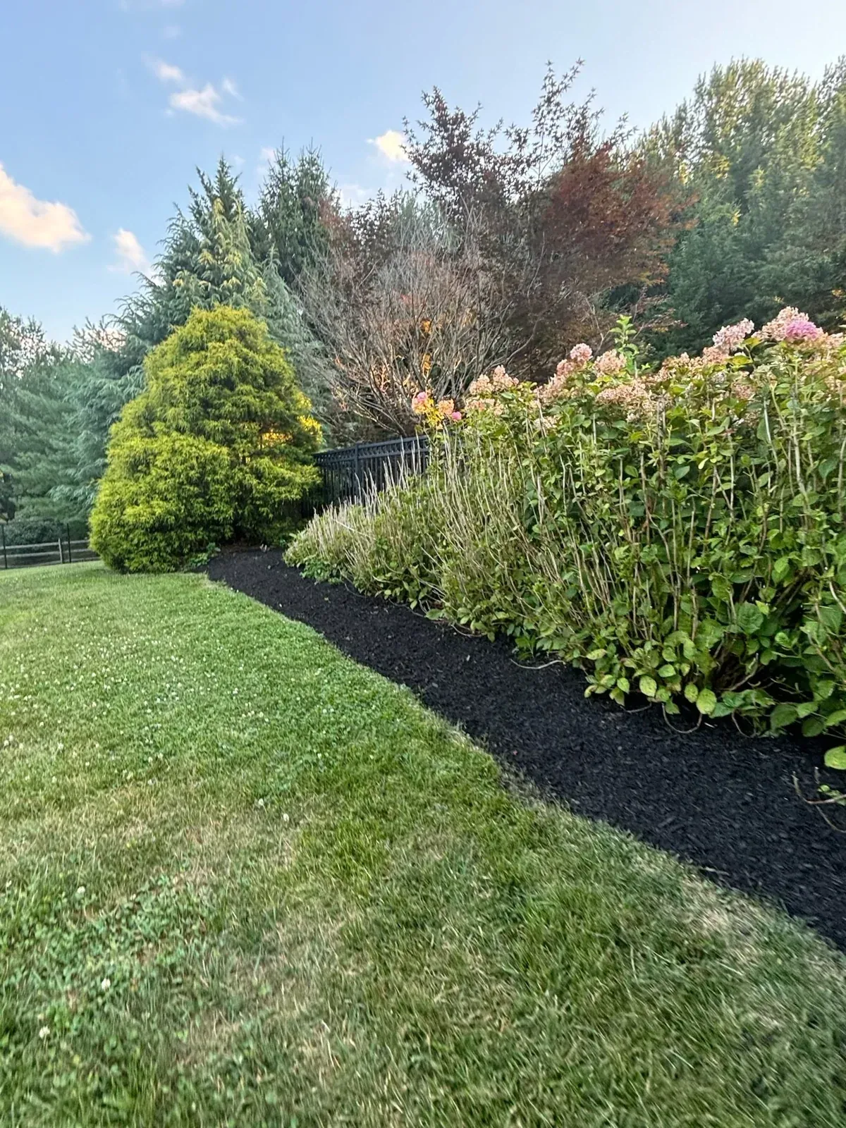 Mulching and Planting